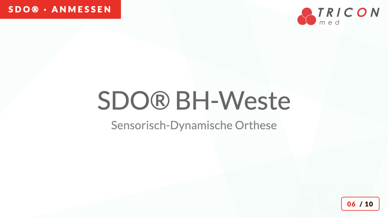 SDO BH-Weste
